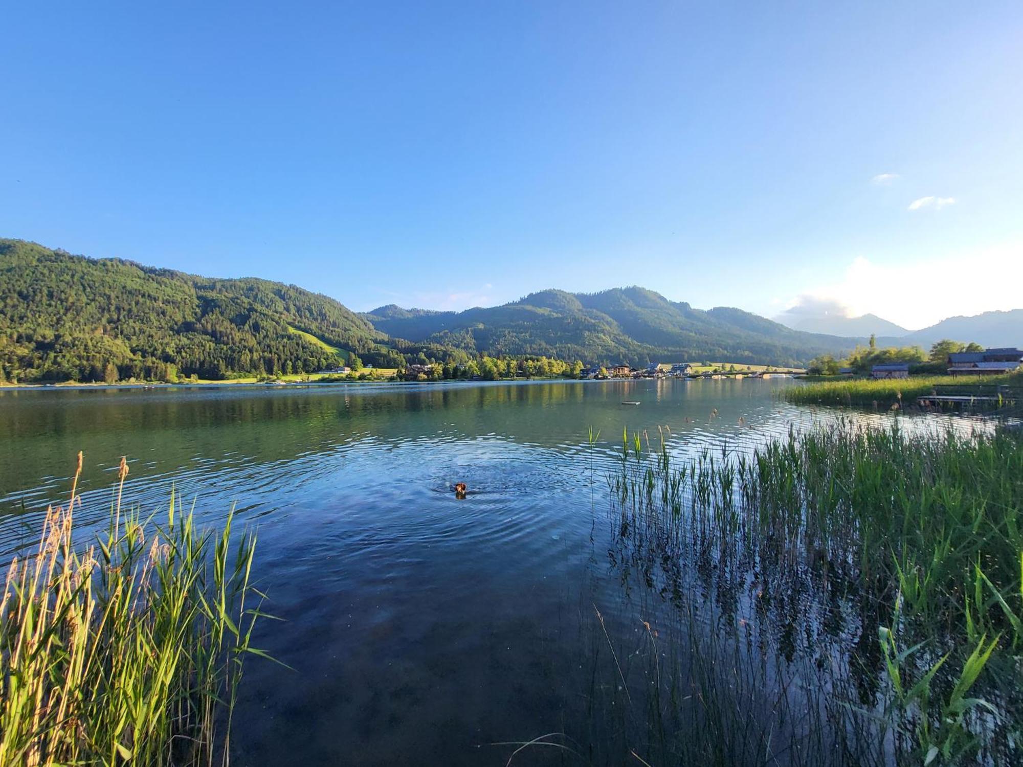 Haus Lackner Am Weissensee In Kaernten Exterior foto